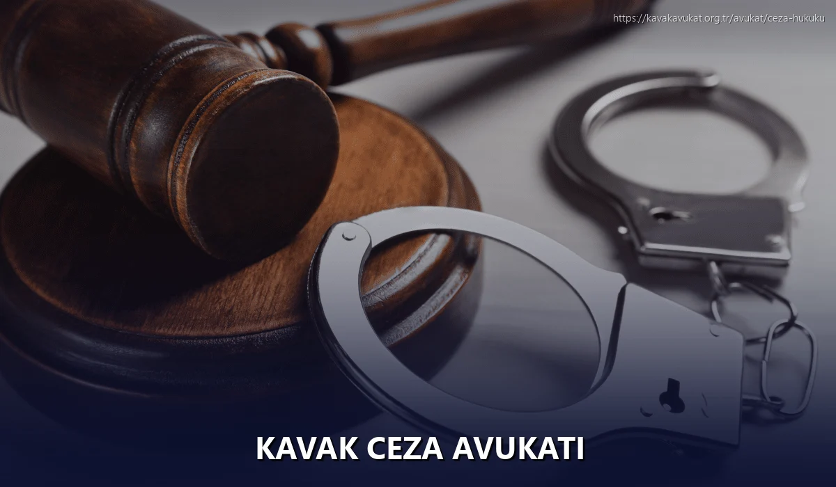 Kavak Ceza Avukatı