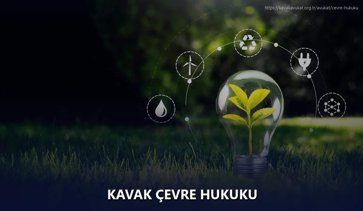Kavak Çevre Hukuku